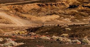 iG 3-0横扫JDG队史第三次获得德玛西亚杯冠军，打野选手Wei荣获FMVP