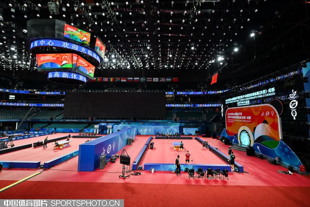 巴多萨再胜一场将反超郑钦文！纳瓦罗穷追不舍，中国网球迎低潮期